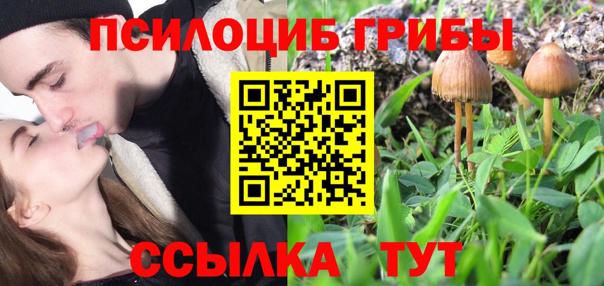 Псилоцибиновые грибы Magic Shrooms Обь
