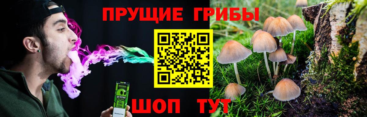 Псилоцибиновые грибы GOLDEN TEACHER  Псилоцибиновые грибы мухоморы  Вход с VPN  Обь 
